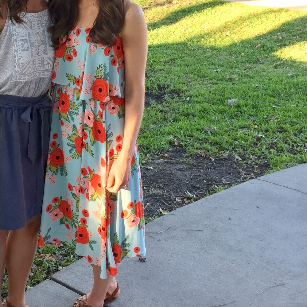 Rifle paper co Anthropologie dress size small